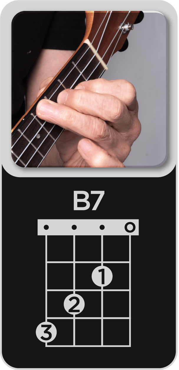 You are currently viewing B7