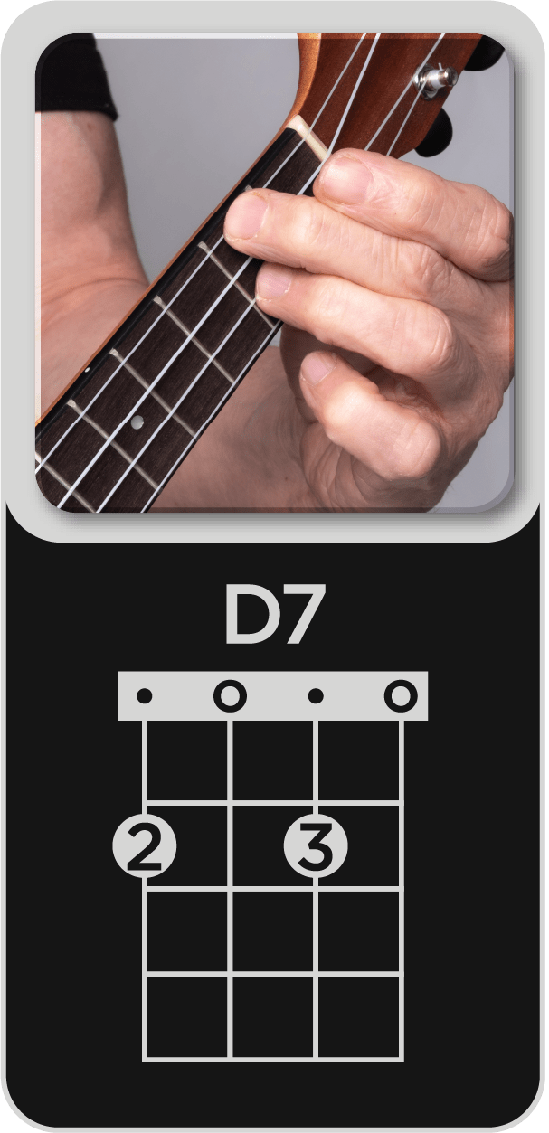 You are currently viewing D7